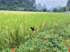 -大新明仕山庄
