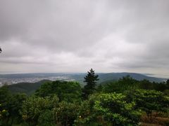 -雨花胜境