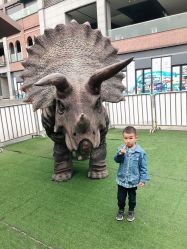 -恐龙探索乐园(磁器口店)