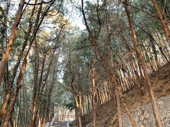 -四门塔风景区