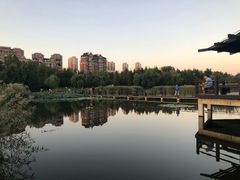 -前关湿地公园