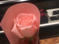 七夕会员礼-COACH蔻驰(赛特奥特莱斯店)