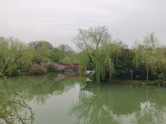 -扬州大运河文化旅游度假区·盆景园