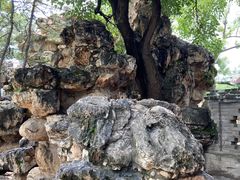 -承德避暑山庄景区