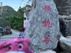 -大岭沟猕猴桃谷风景区