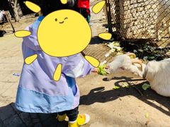 -保定市动物园