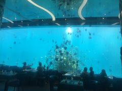 -瑞德姆美人鱼海底演艺主题餐厅(亚龙湾店)