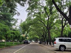 -山东师范大学(千佛山校区)