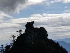-朱雀国家森林公园
