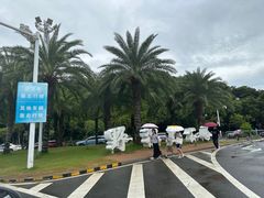 -野狸岛