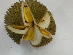 -ZF Seafood Restaurant 卓峰海鲜餐