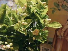 -中和·国风茶馆(愚园路店)