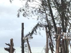 -玫瑰海岸文化旅游度假区