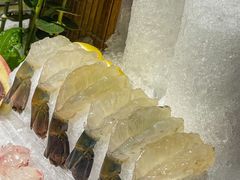 -渔意如意·首创金鲷顺德鱼生