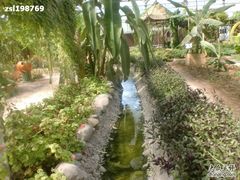 -观光南瓜园