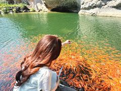 -楠溪江风景名胜区