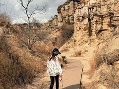 -元谋土林景区(物茂土林)
