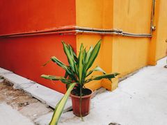 -白水带风景区体育公园