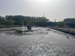 -微山湖红荷湿地景区