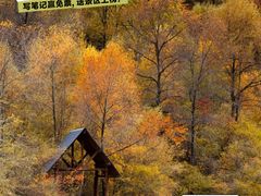 -光雾山旅游景区
