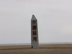 -东郊椰林