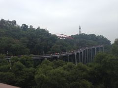 -金鸡山公园