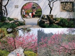 -杭州植物园