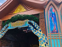 -西双版纳原始森林公园