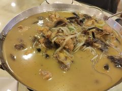 小鸡炖蘑菇-鹤乡东北菜(崮山路店)