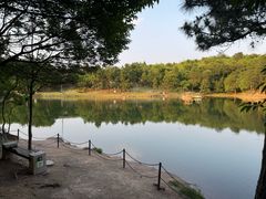 -南京市无想山景区