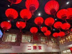 -二胖家铁锅炖大鹅(双井店)