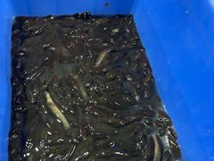 -淇沙湾渔村餐厅
