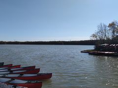 -上海海湾国家森林公园