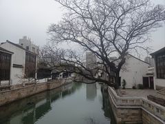 -青果巷历史文化街区