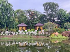 -海花岛旅游度假区