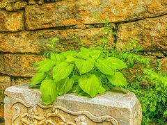 -天津盘山风景名胜区