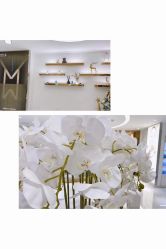 -MIVI半永久纹眉绣眉