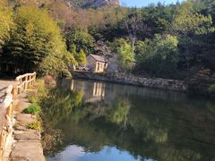 -无染寺