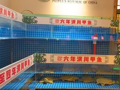 -西郊竹园甲鱼面(老一中店)