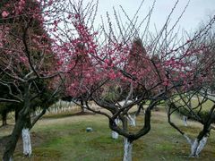 -白塘生态植物园