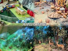 -天津自然博物馆