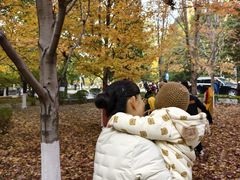 -辽宁大学(崇山校区)