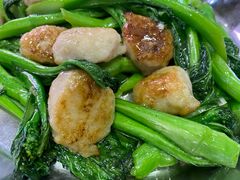 -石岐乳鸽村(南海第三分店)