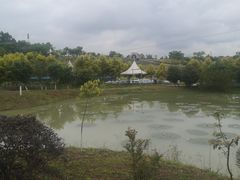 -紫颐香薰山谷景区