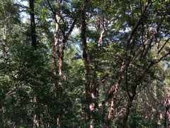 -白草畔自然风景区