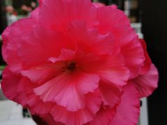 -常州花鸟园酒店(西太湖品牌优选店)