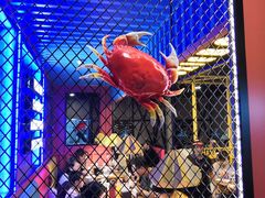 -谢蟹浓·肉蟹煲(新奥店)