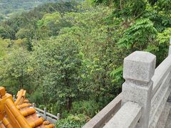 -深圳仙湖植物园