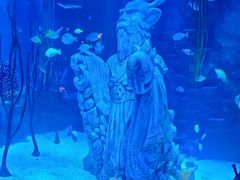 -沈阳海洋探索中心