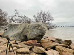 -宝安西湾红树林湿地公园